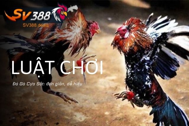 Đá Gà Cựa Sắt Tại SV388: Trải Nghiệm Kịch Tính Và Hấp Dẫn Luật Chơi Đá Gà Cựa Sắt Tại SV388: đơn giản, dễ hiểu