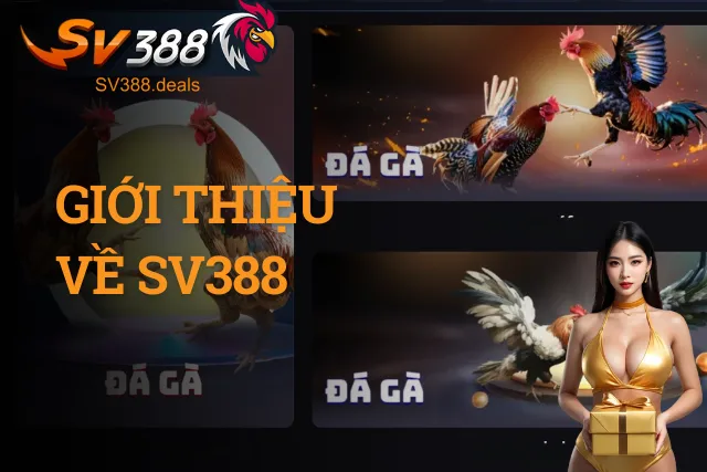 SV388 - Trang Chủ Đá Gà SV388.COM | Link Vào Mobile & PC Tổng quan thương hiệu cá cược trực tuyến SV388